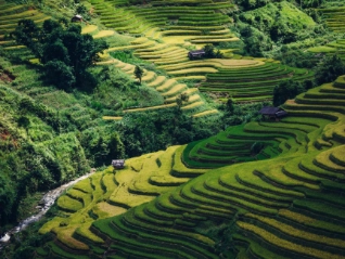 Tiered landscaping in Asia